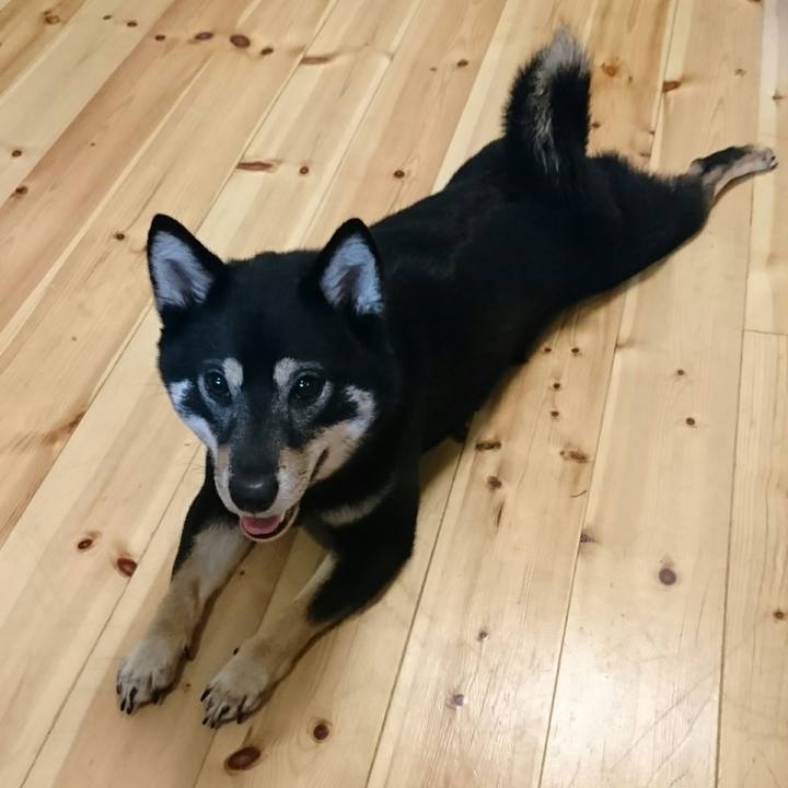 31b4d884 61e8 4910 b679 23e5f05293bf