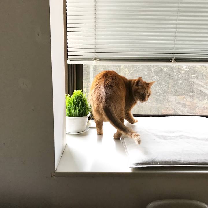 31b4fe69 b38e 474e b306 f0bab711db56