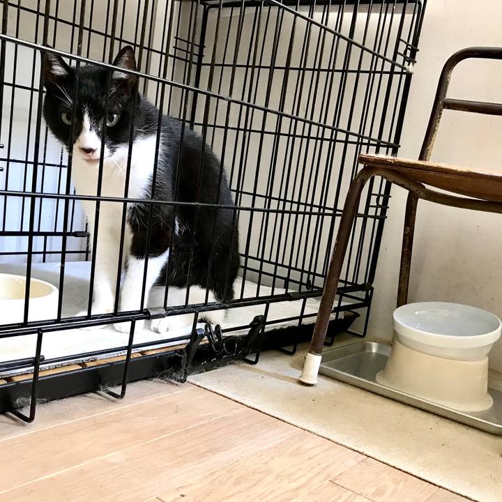 31b5815e 1c58 404d 9d5d 6733ce62eecf