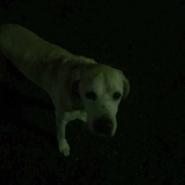 31b62509 4b82 4095 b5b3 4716013b4893