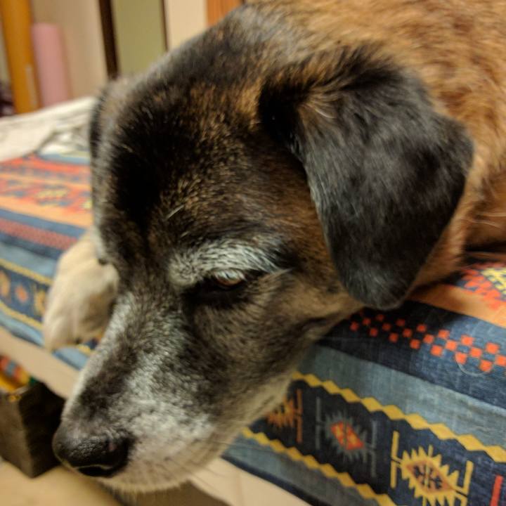 31b6844b 4123 46c5 8087 c5e1305461d2