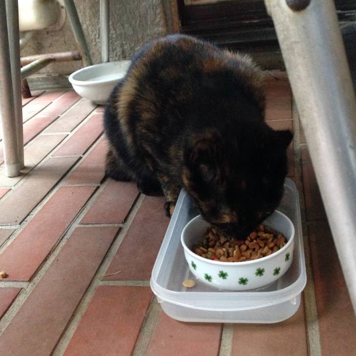 31b6ce92 61f0 425f b37e 7aec8597311e