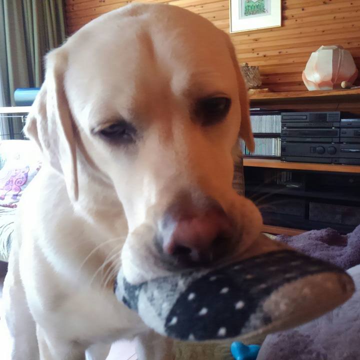 31b6eedb 9d67 4110 abfb 9529c1bb4659