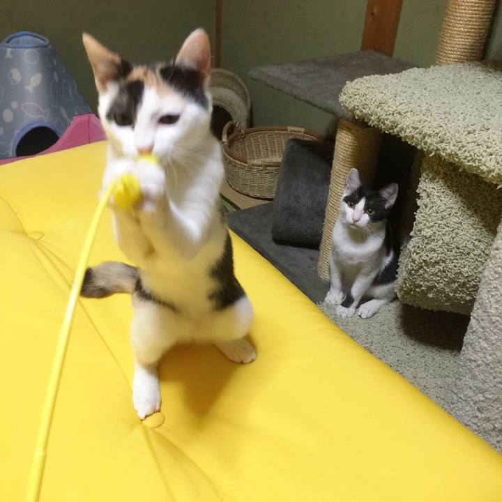 31b8157d 8de0 47d1 a501 d0df958953e5