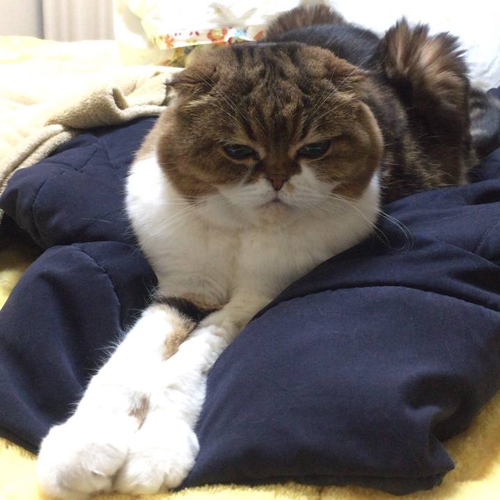 31b8339b 02d0 4f7f ba37 ce664b9e5a96