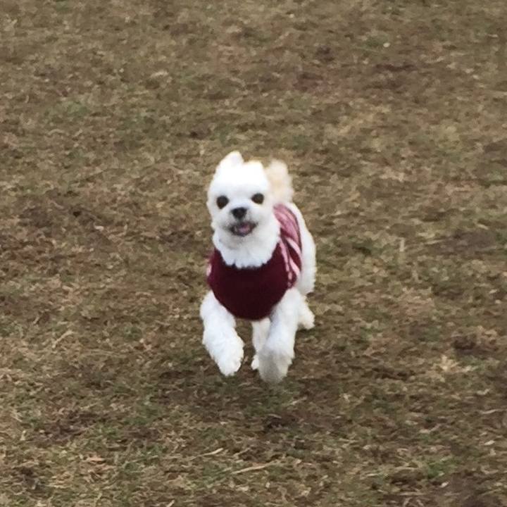 31b85fe2 3c70 4c66 a050 62b24b8bf789