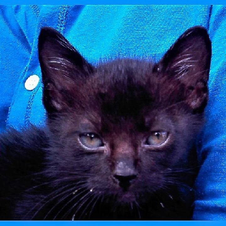 31b89e77 51b2 4abe bcc0 4c039b5ca323