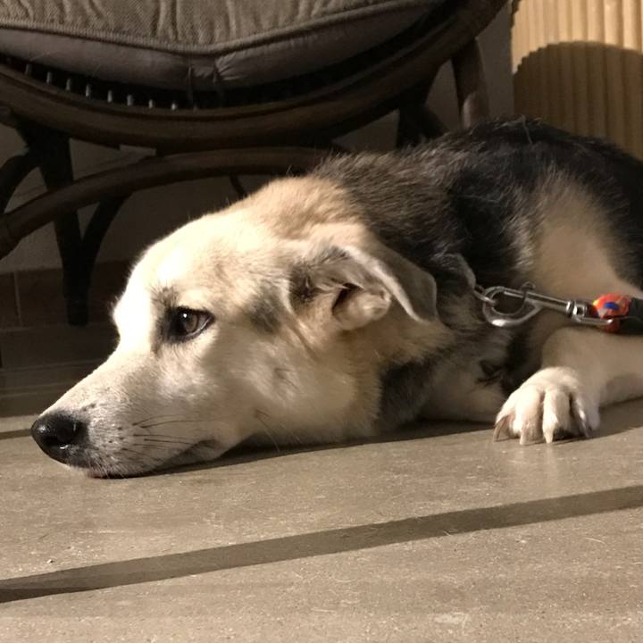 31b8a034 0c88 4f1e a293 b1e963cc2937