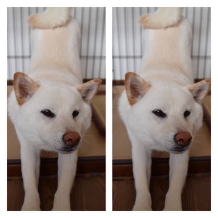 31b90997 f954 4d6e ab7a 9a450e991e96