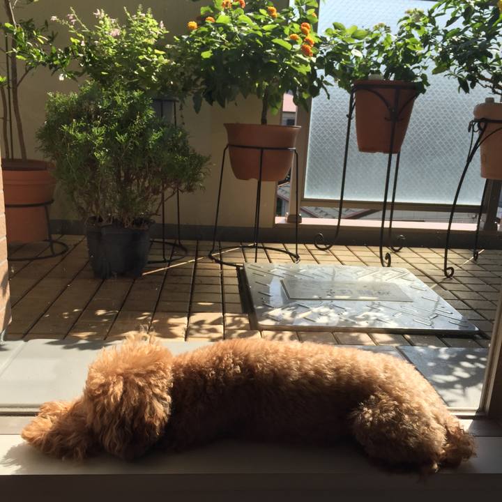 31b91df6 4180 4f84 b1ff c85e3355f5cb