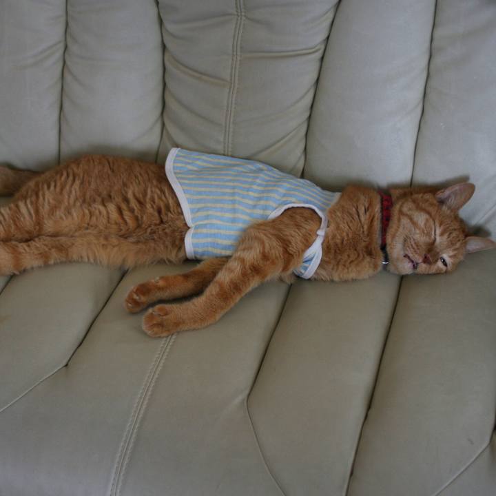 31b96588 d0f0 4b23 8446 9e6db4fe3a79