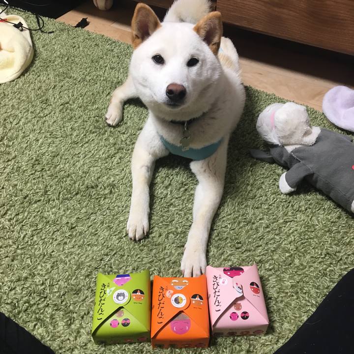 31ba230b 0c60 4d77 9733 90472206fa7a