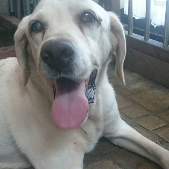 31ba5c89 9a55 4cdc 8829 42b6b8b41c36