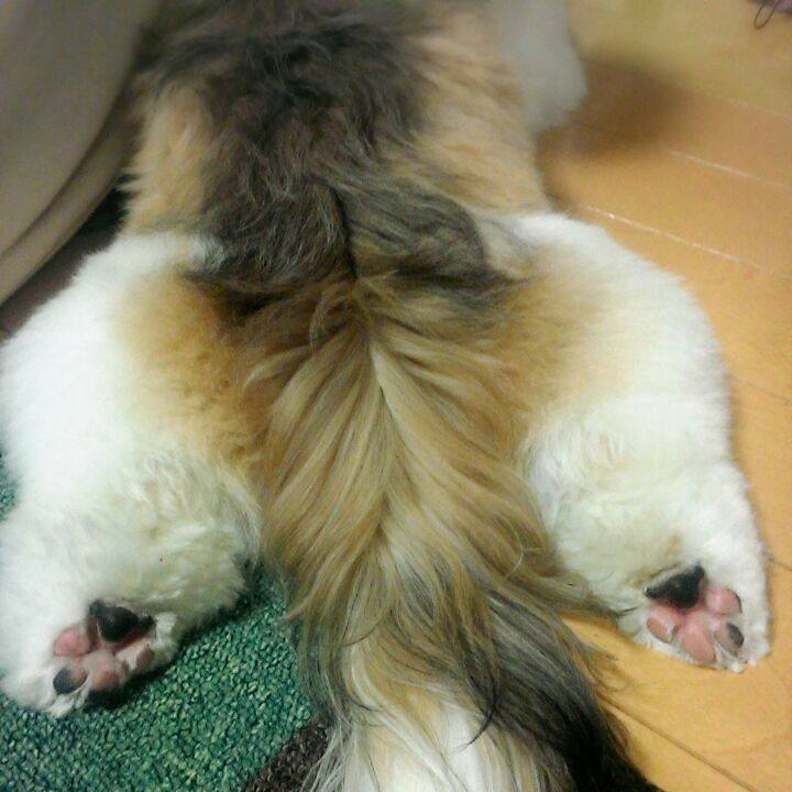 31baa422 5a43 4567 8e4d 40c807f6b8ce