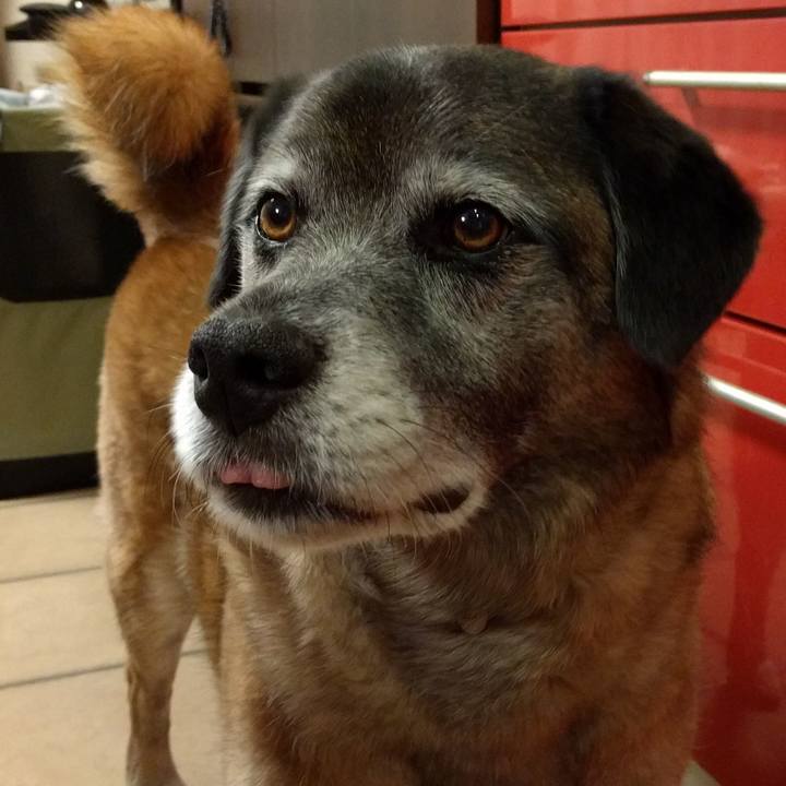 31bb8531 83c9 4eff 9f85 8a403eb8bc95