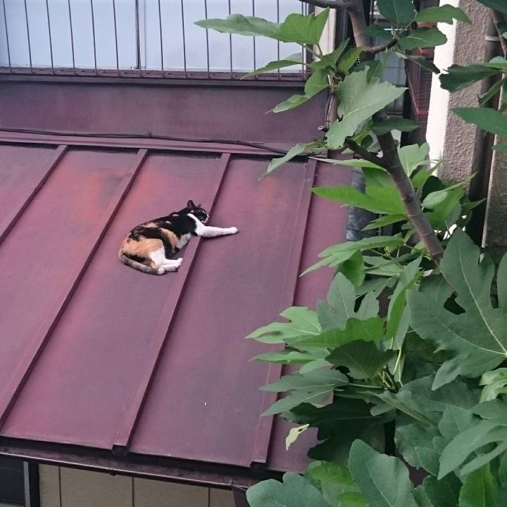 31bbd939 60cd 4174 9b58 303e05e82fe1