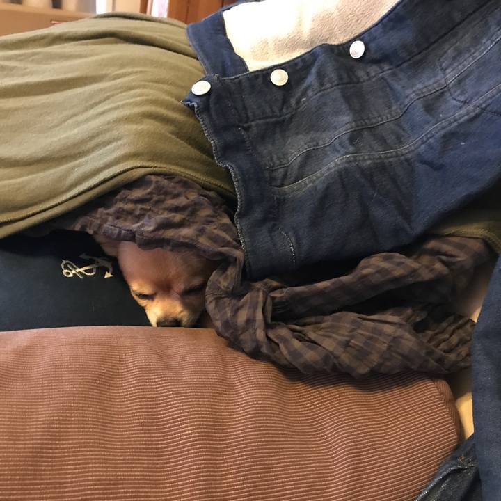 31bc45b5 4b5d 47fe 9cf3 2b24b82fc2bf