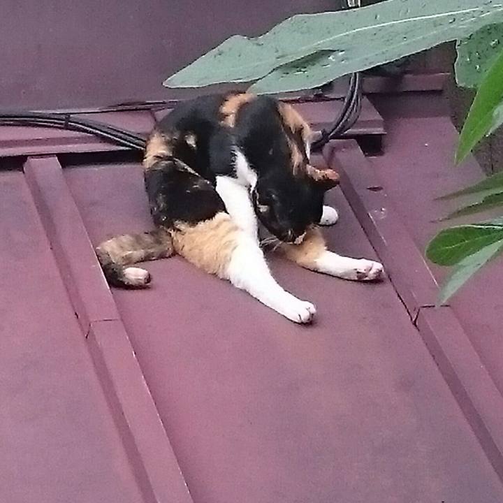 31bccc43 90e2 4486 843b c7443e201185