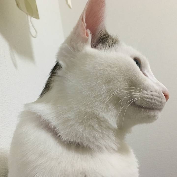 31bced06 ca3d 475d b9c8 ce27b5dd849d