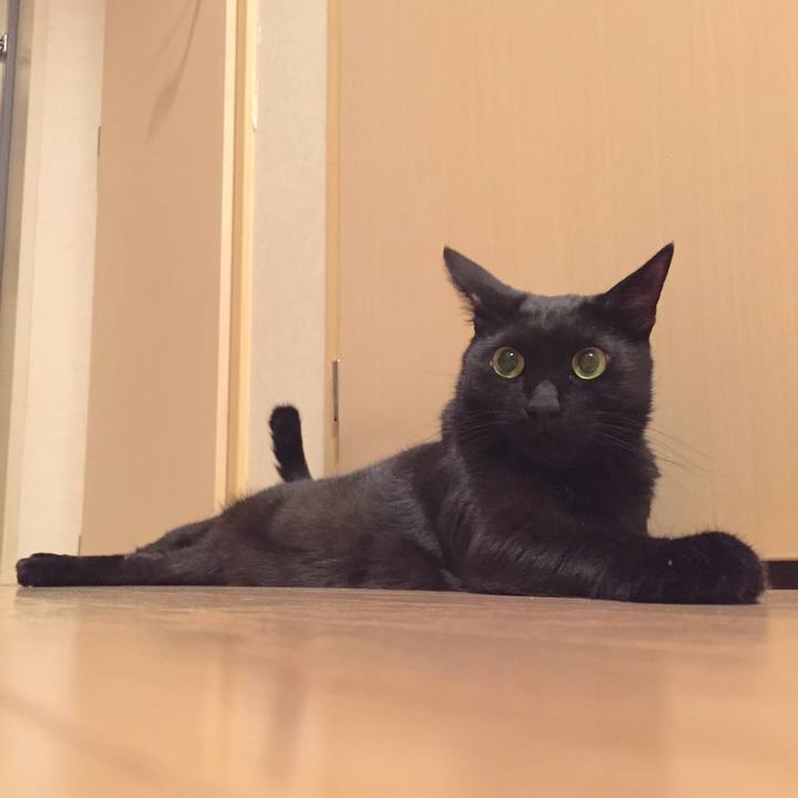 31bcf484 795d 466e a33e b5c5917dc640