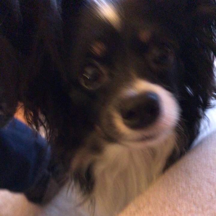 31bd0402 e2a1 48a9 8ffa 041c46b60909