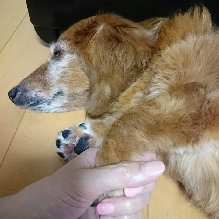 31bd6336 6590 4e69 a881 d3a8a19b8f9c