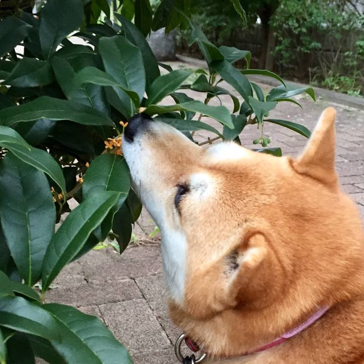 31be0134 8ef1 4a37 8f03 9fe64e1378ce