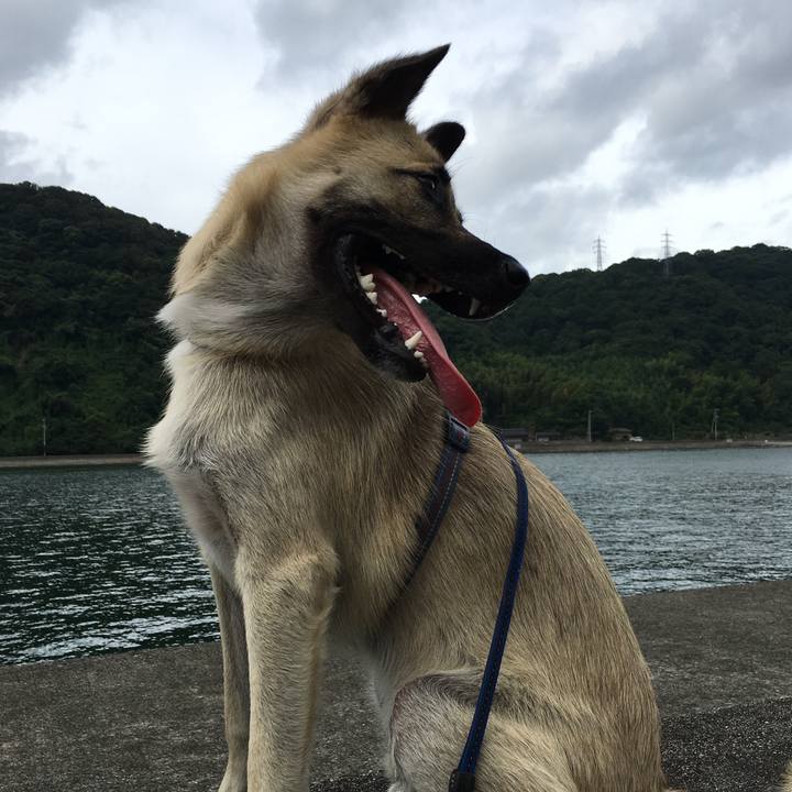 31be24b5 0de1 44a4 bddc 1ed13d799f06