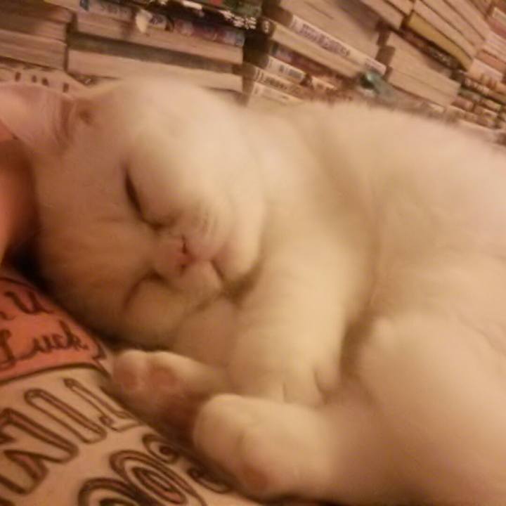 31be2bea 3645 48c7 a4e3 0a00df6576b0