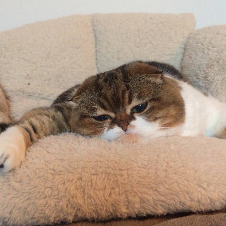 31be59fb ae96 45ab b5e5 de0cac8b00e1