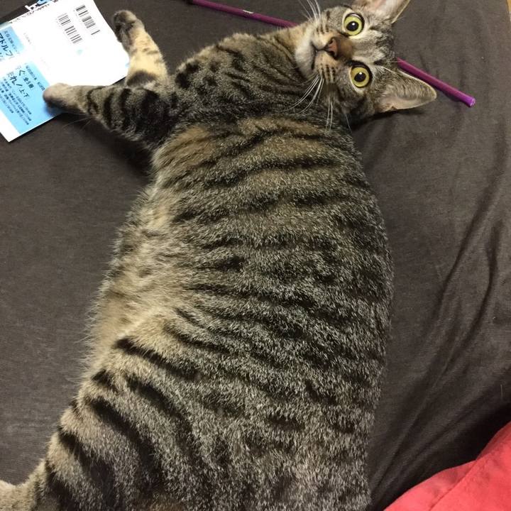 31bece53 ef51 4ca9 8085 46dde40efabb