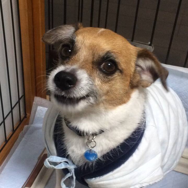 31bee9a4 246b 4e50 98a7 298f8d368476