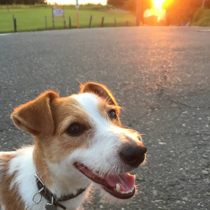 31bf6bc2 afbe 471b 8d67 72afd8756e05