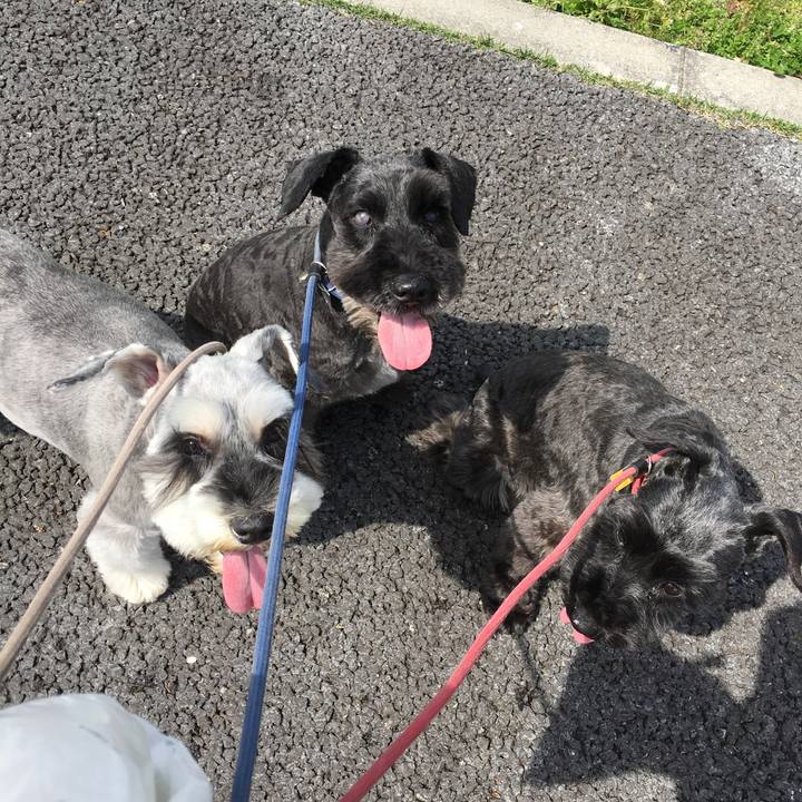 31bf7e5f a12c 49e7 985d b4e5d279a74d