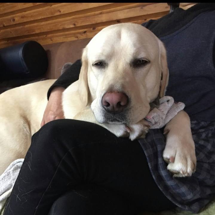 31bf8d53 e0f9 4a83 b6e7 a64e3b690b49