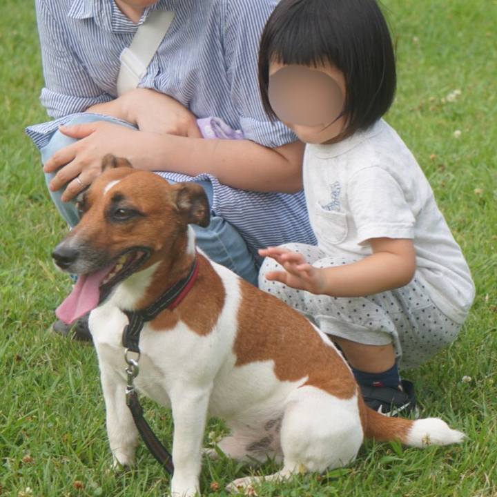 31bfad26 35c6 44e4 9d95 3dcf4c71bb00