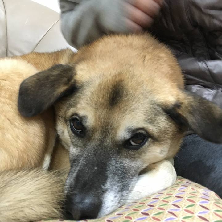 31c04b75 887c 4839 b84a b3731a104606