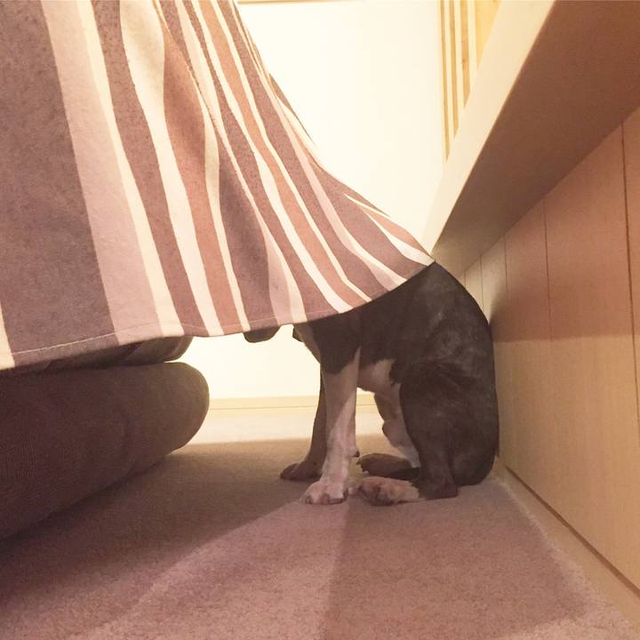 31c078f8 9c8e 42bc 9eec a1d42ed2507e