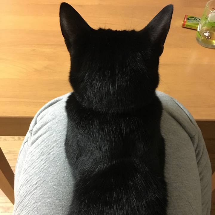 31c0d008 079b 4a2b b1bf 0623d2236e12