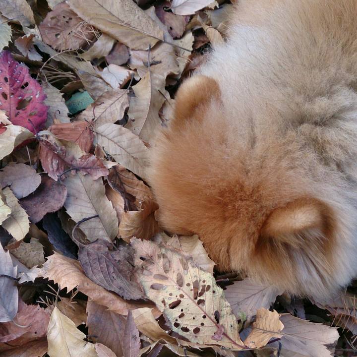 31c1282e 4e1e 4abe a8a2 606cb76446d8