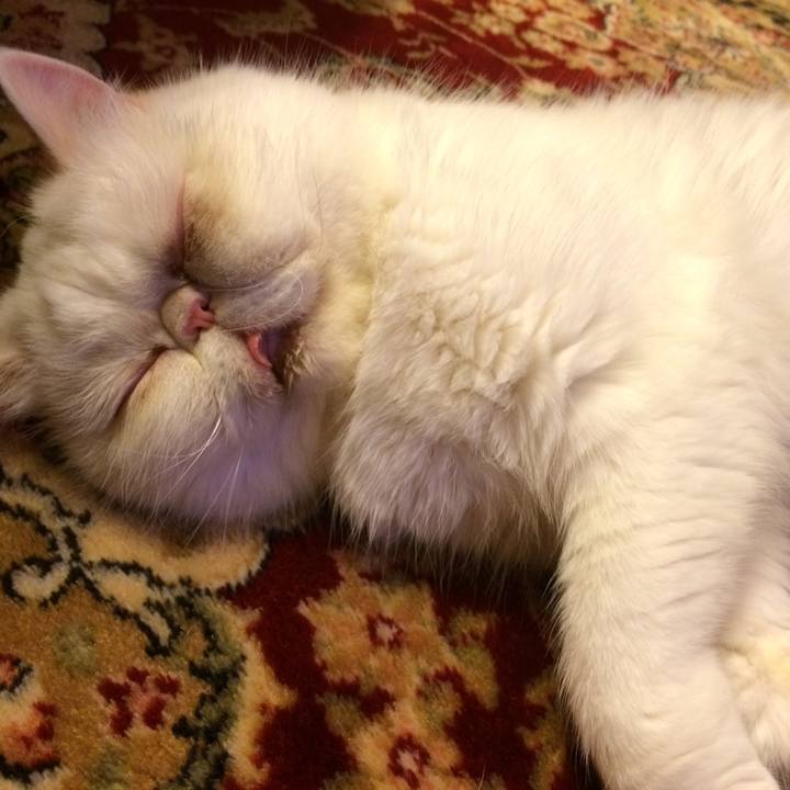 31c1bde7 c242 4789 aa71 7be9bbec2df7