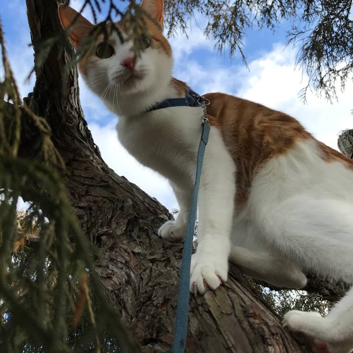 31c22b73 14de 4ed8 8841 fc16e22633fb