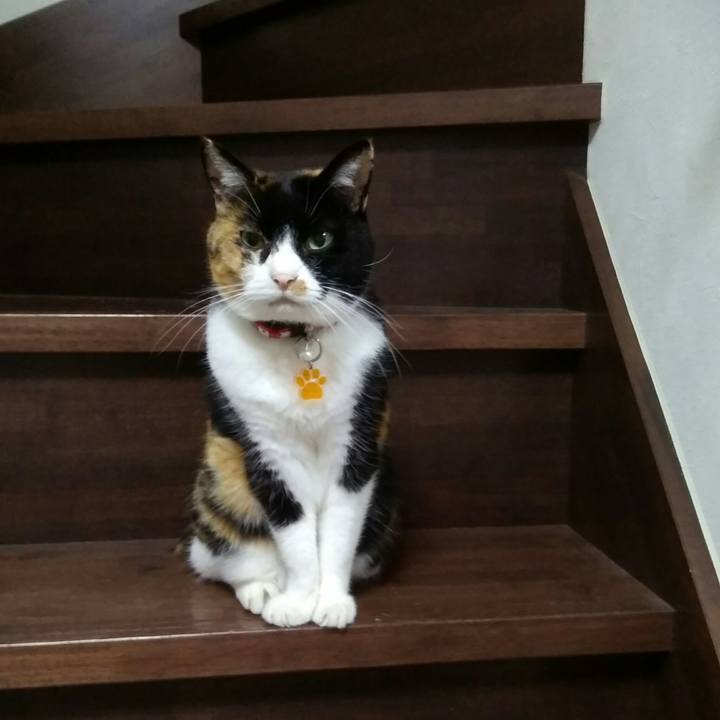 31c25363 b9dc 47a4 a2f7 cda8f0914d7b