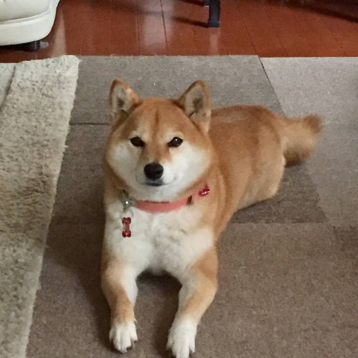 31c25a71 a88b 473b 9923 00de7aff9f8c