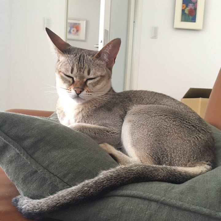 31c2d6b9 2e81 4570 b7c1 8dbec02c9ca1