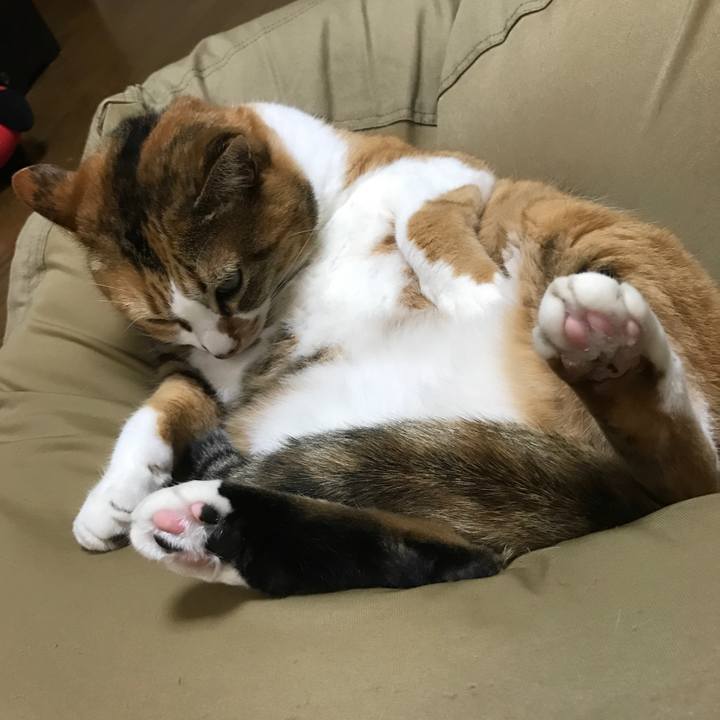 31c30007 149e 4d96 bbda c2ab831f9558