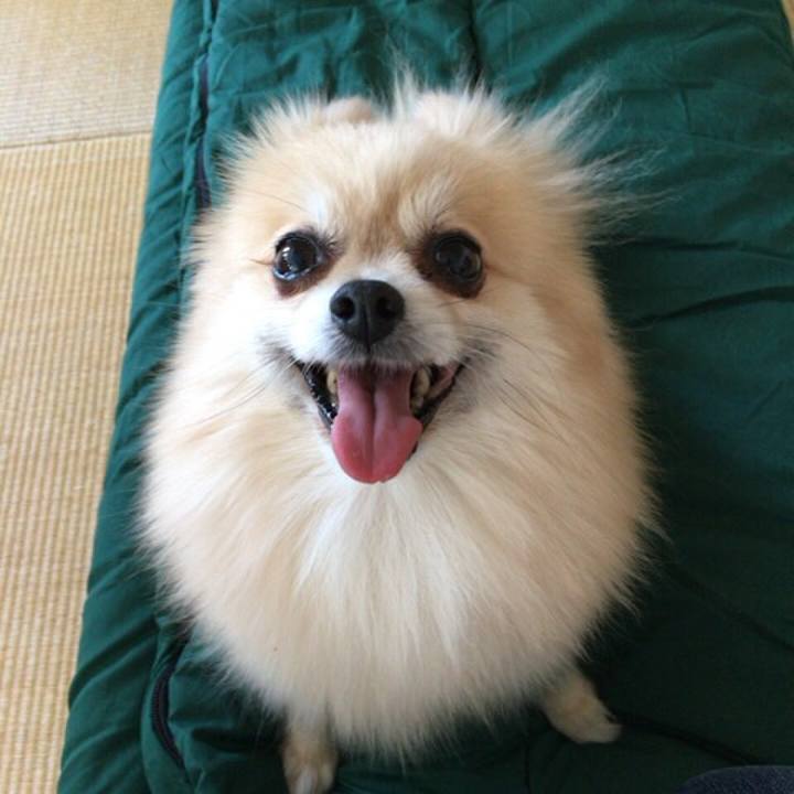 31c30226 36e3 48ad a5b6 6f3f9caff152