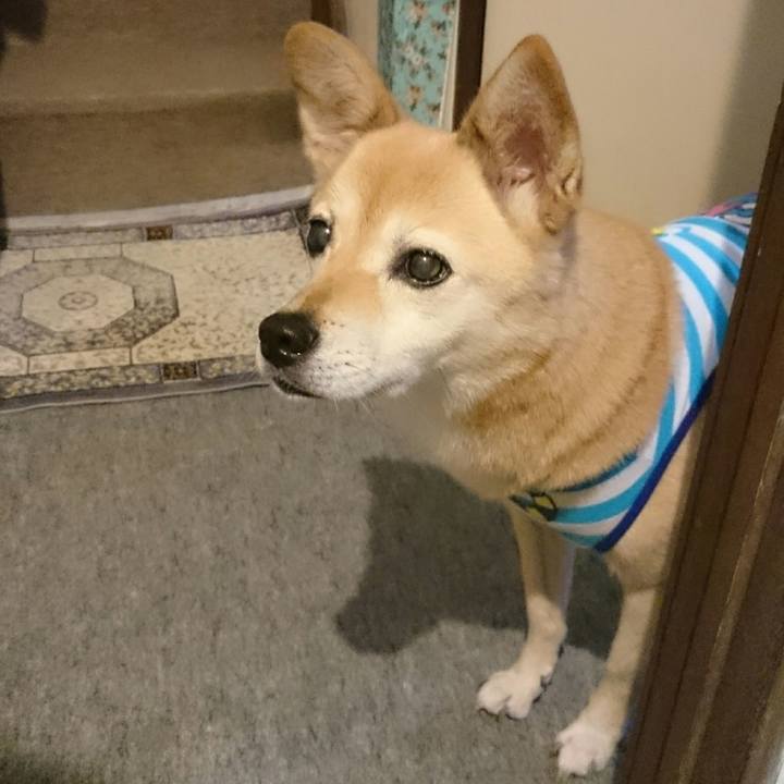 31c34e86 b8fc 41d2 aa66 12910ff0da37