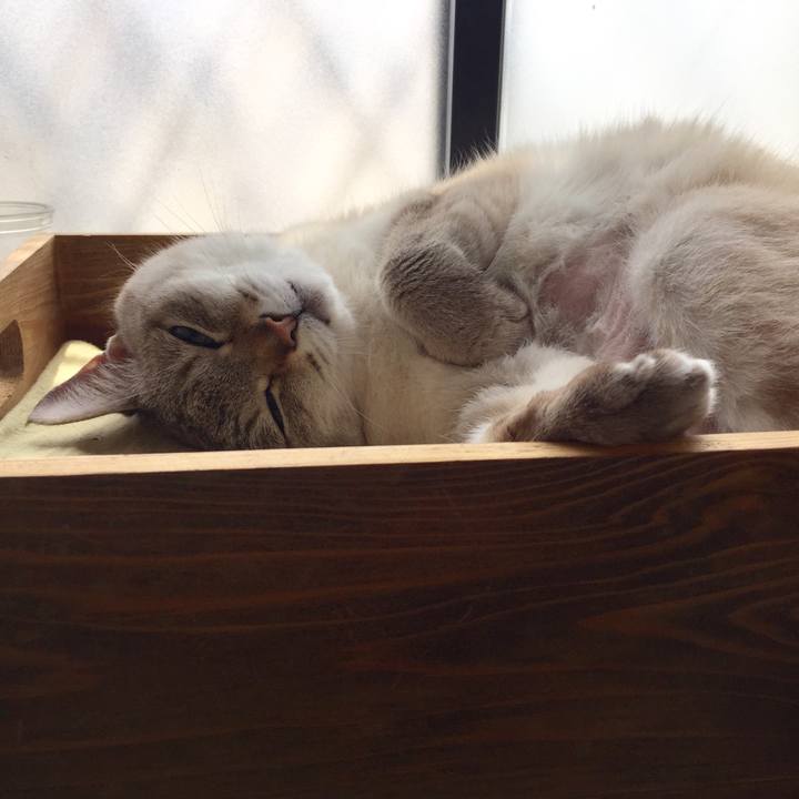 31c45c62 ffda 42c2 83fb 991bcf5a7d4a