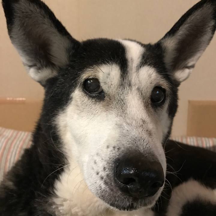 31c53d95 fa7a 419c bb5c 9e6add040137